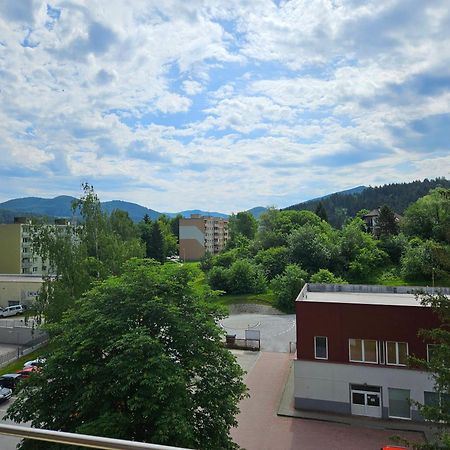 Wolf Apartman Pokojne Ubytovanie V Povazskej Bystrici Ticha Lokalita S Parkovanim Vsade Blizko Vhodne Pre Pracovne Cesty Turistiku Aj Oddych Plne Vybavena Kuchyna Повазька-Бистріца Екстер'єр фото