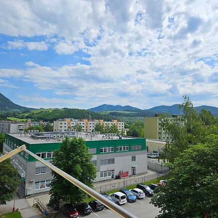 Wolf Apartman Pokojne Ubytovanie V Povazskej Bystrici Ticha Lokalita S Parkovanim Vsade Blizko Vhodne Pre Pracovne Cesty Turistiku Aj Oddych Plne Vybavena Kuchyna Повазька-Бистріца Екстер'єр фото