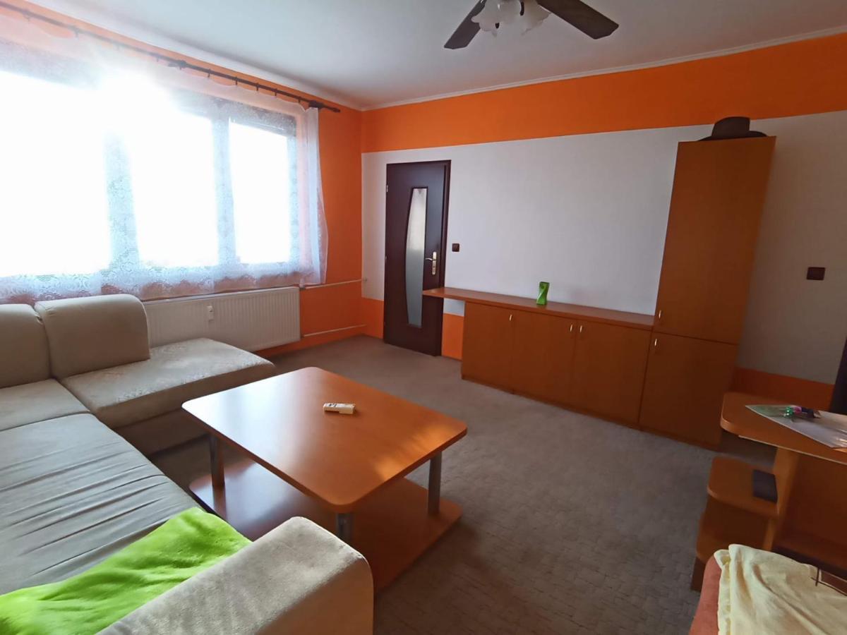 Wolf Apartman Pokojne Ubytovanie V Povazskej Bystrici Ticha Lokalita S Parkovanim Vsade Blizko Vhodne Pre Pracovne Cesty Turistiku Aj Oddych Plne Vybavena Kuchyna Повазька-Бистріца Екстер'єр фото